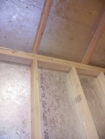 competitor-shed
