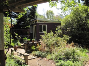 Friends have told Byron and Elzabeth that the shed makes their garden look bigger. 