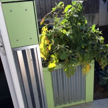 Belinda's friend, a member of the band Flogging Molly, created this customized planter for her that matches her Modern-Shed.