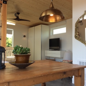 Rebecca and Jeremiah spent months designing the look of their Modern-Shed.