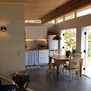 Rebecca and Jeremiah utilized French doors and Modern-shed's transom ceiling to provide the majority of the natural light in the Modern-Shed.