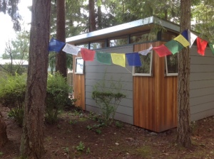 Lin selected a 12’ by 16’ Modern-Shed art studio with shiplap siding.