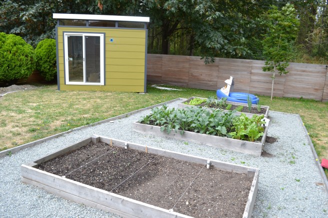 Tami and Peter took Modern-Shed's advice to place their shed at a diagonal angle in the yard.